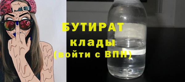 прущие грибы Коряжма