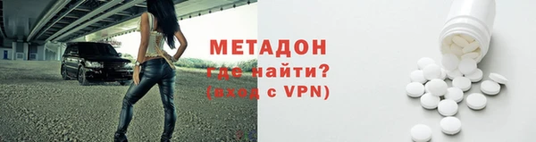 прущие грибы Коряжма