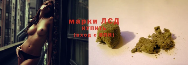 прущие грибы Коряжма