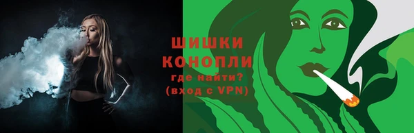 прущие грибы Коряжма