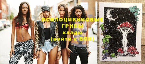 прущие грибы Коряжма
