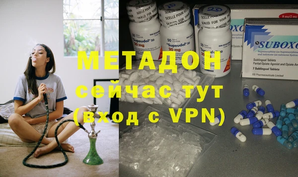 прущие грибы Коряжма