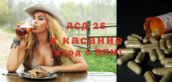 прущие грибы Коряжма