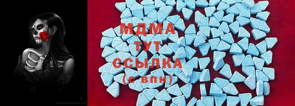прущие грибы Коряжма
