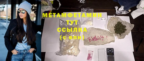 прущие грибы Коряжма