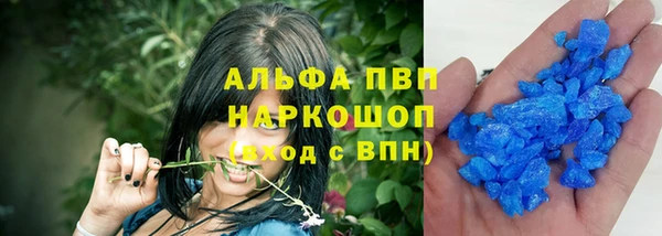 прущие грибы Коряжма