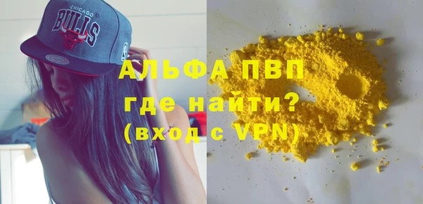 прущие грибы Коряжма